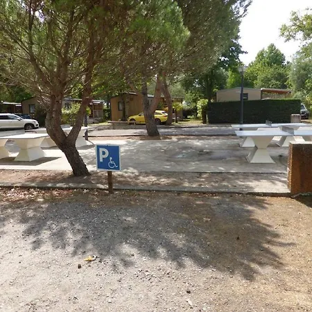 - Camping 5 Etoiles - ביסקארוס