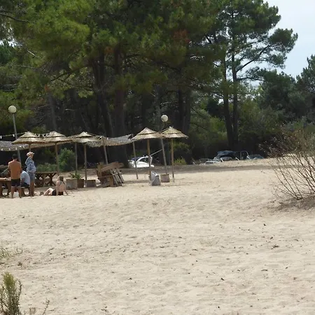 - Camping 5 Etoiles - ביסקארוס